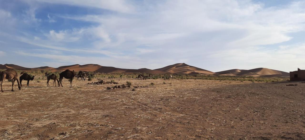Erg Chegaga Camp Excursions Hotell M'Hamid Exteriör bild